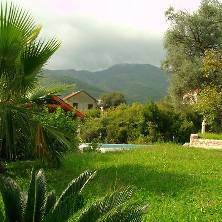 Villa Mia Apartments بِييلا المظهر الخارجي الصورة